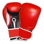 Boxing Glove