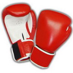 Boxing Glove