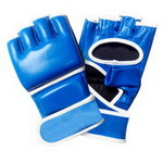 MMA Grappling Glove