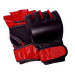 MMA Combat Glove