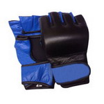 MMA Combat Glove