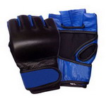 MMA Combat Glove