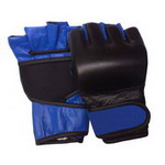 MMA Combat Glove