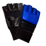 Assorted MMA Glove