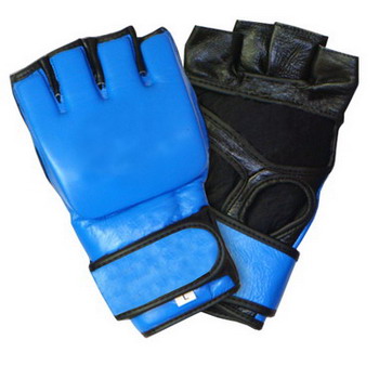 Assorted MMA Glove