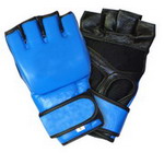 Assorted MMA Glove